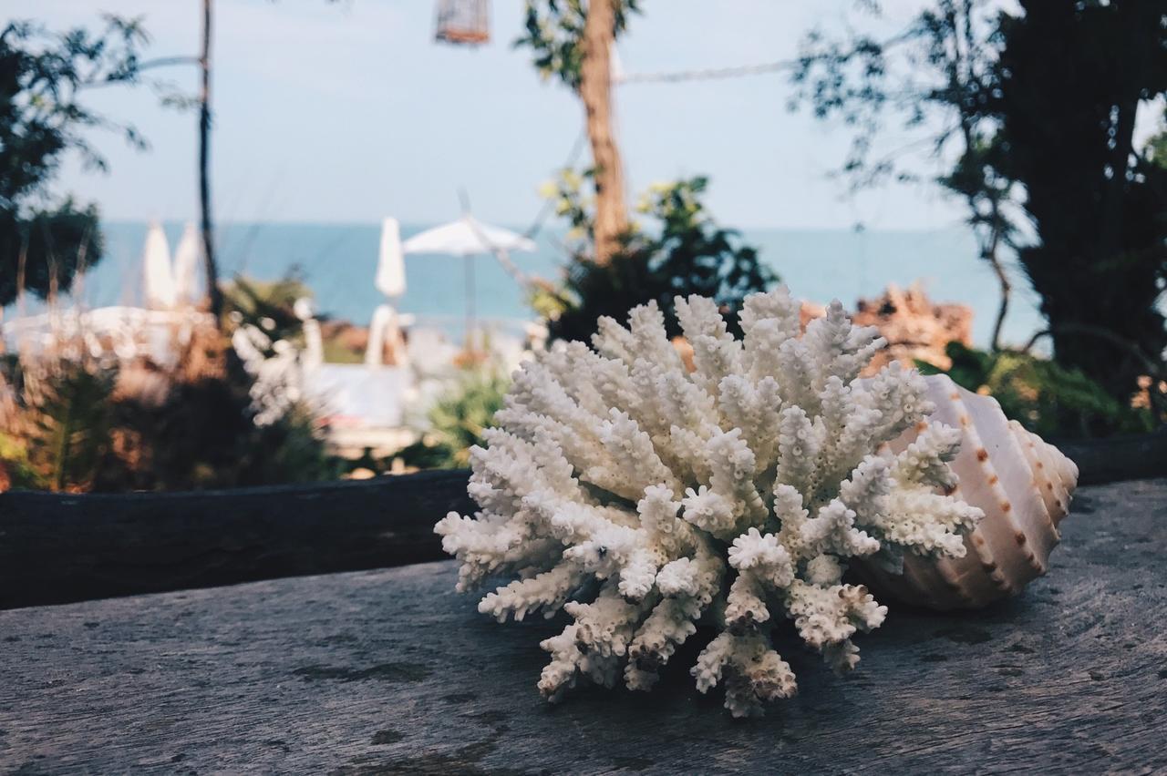 Rock View Terrace Koh Jum Exterior foto